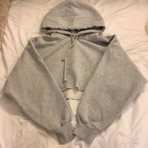 COPY - Cropped Aritzia Hoodie